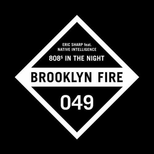 808's In The Night (feat. Native Intelligence)